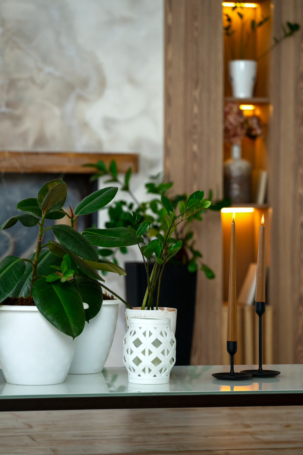 Indoor Potted Plants